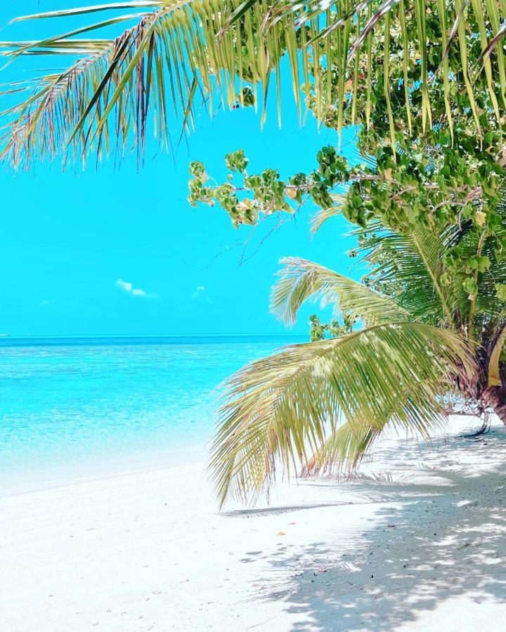 Rising Sun Beach View Thinadhoo  Zewnętrze zdjęcie